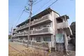 パトリード有栖
