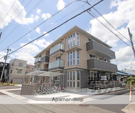 アロース フェリス