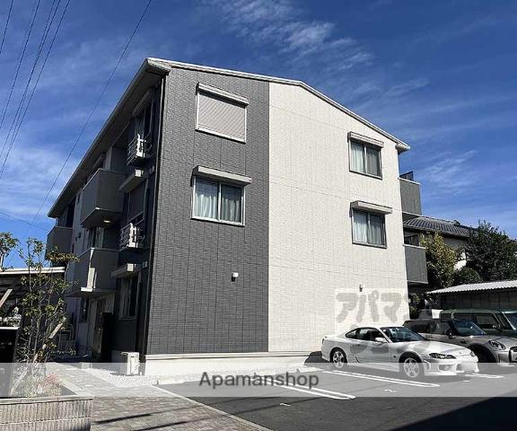 グレイスアムール