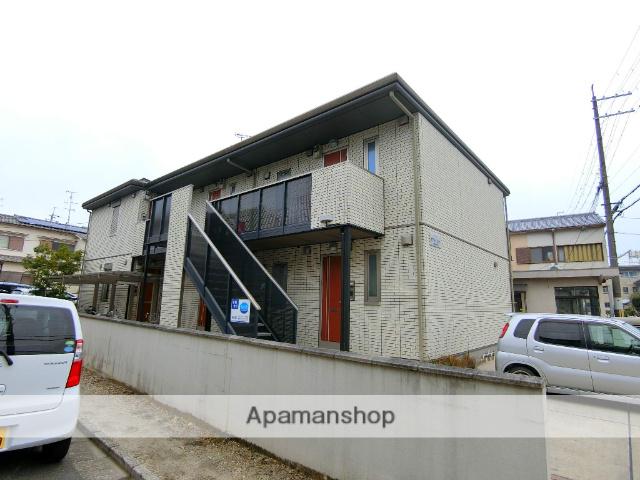 ホワイトコート