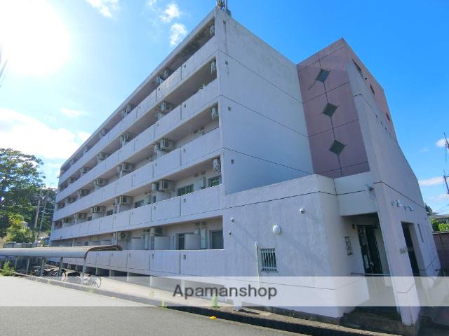 ブラッサム精華