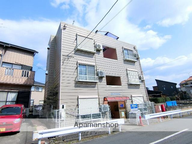 STAYDREAMHILL