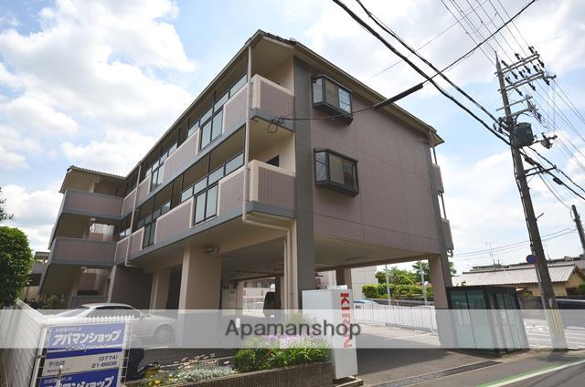 エーデルワイス木幡