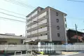エーデルワイス61