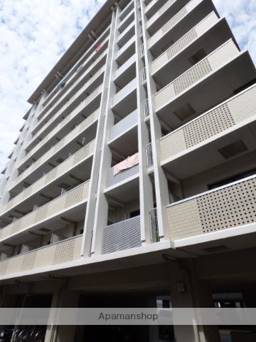 ドライバウムESAKA