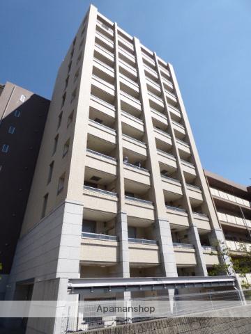 アーデンESAKAⅡ