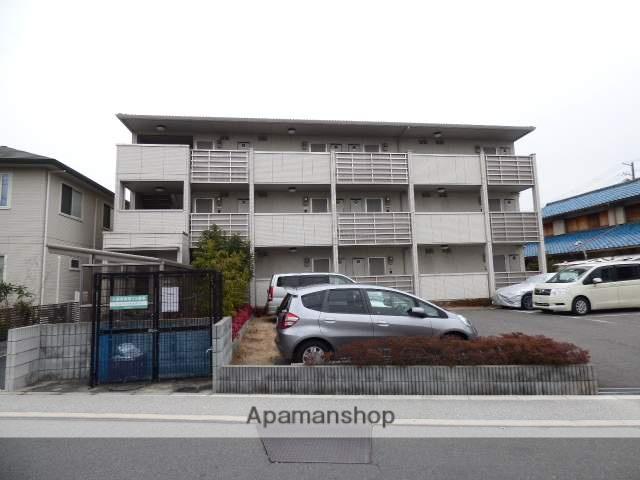 エバーグリーン