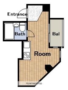 レディース大鉄(ワンルーム/3階)の間取り写真