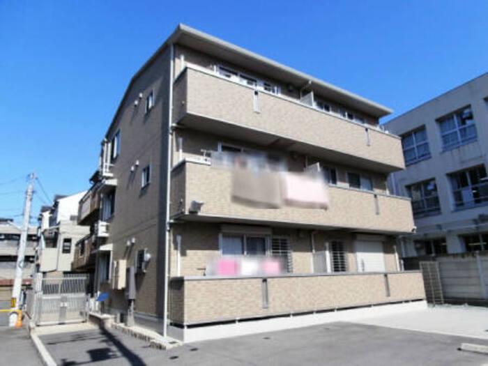 パインフローリッシュ