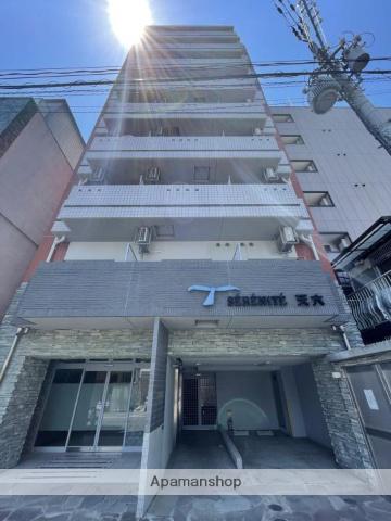 SERENⅠTE天六