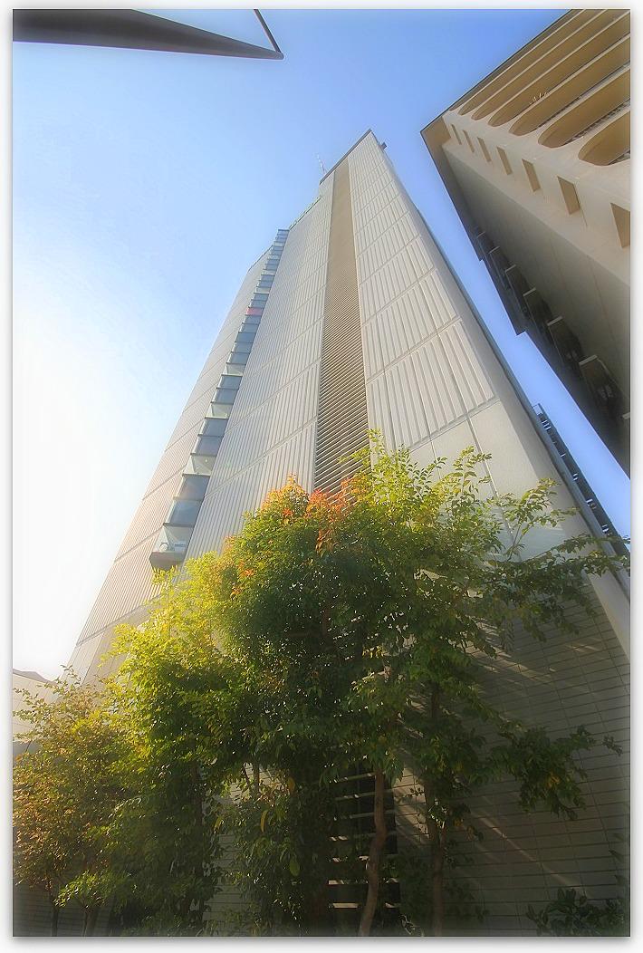 メロディーハイム夕陽丘