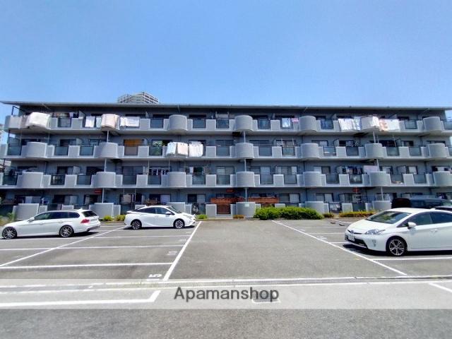 アンセスター91