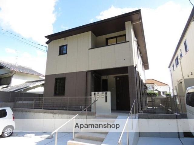 メイマオ・ジェゴォ