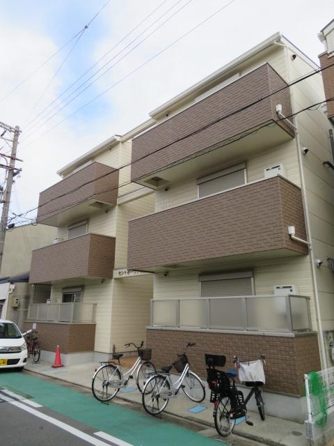 セントポーリア梅園