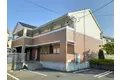 フリージア