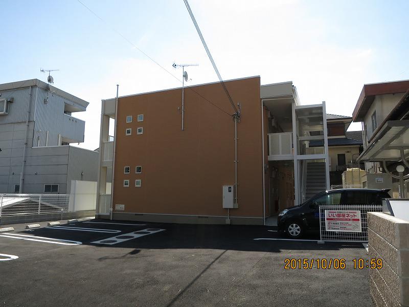 サニーホワイトⅡ