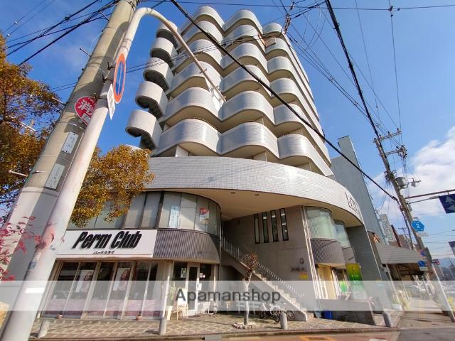パール9