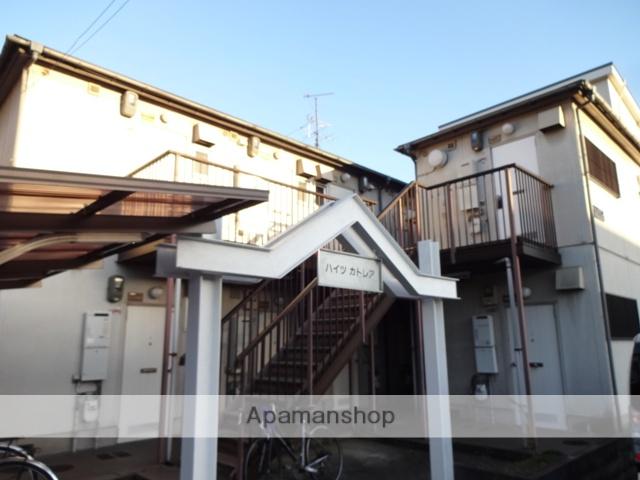 MAYUMIハイツカトレア