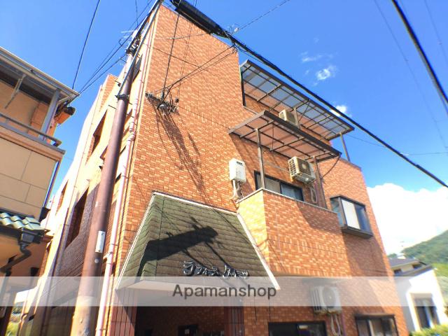 ラフィーヌダイミツ