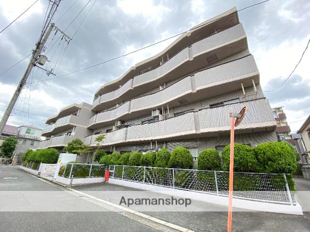 シロハイヌ小阪