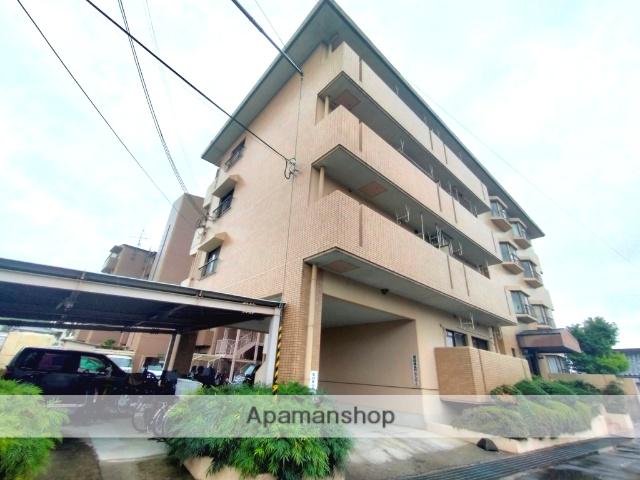 ビューハイム茶の木