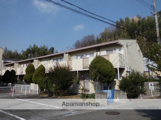 タウニーモイスンB