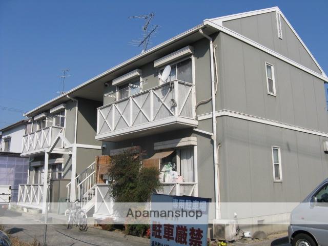 ソフィア・ハヤ