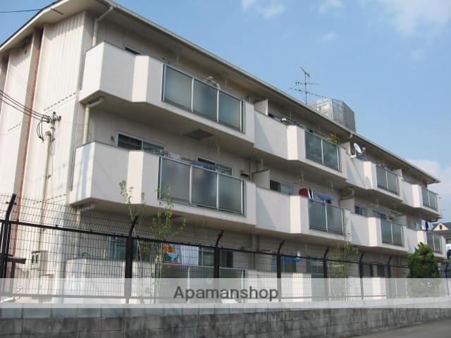 大西マンション(2DK/3階)