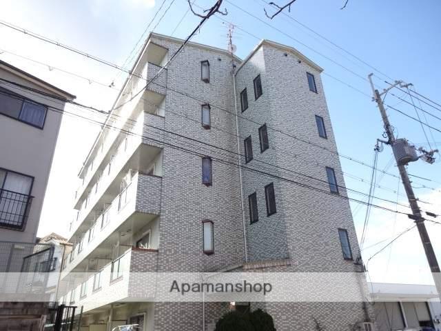 コレクション津田