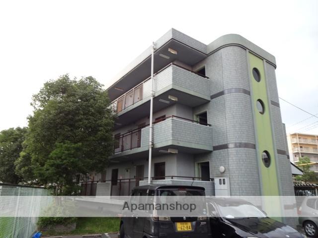 サンライズマゼミ