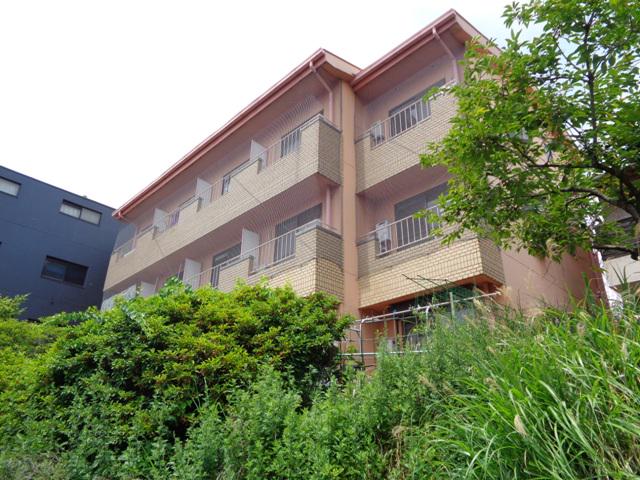 チェリー茄子作