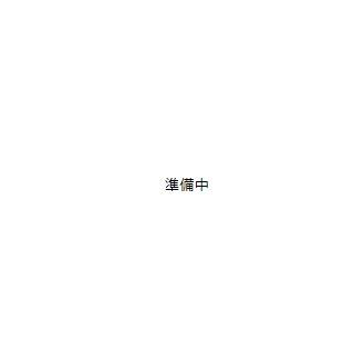 レオパレスMINAMINOⅠ(1K/2階)の間取り写真