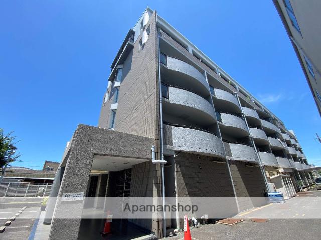 スターリースカイテラニシ