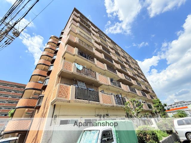 シロハイヌ今米