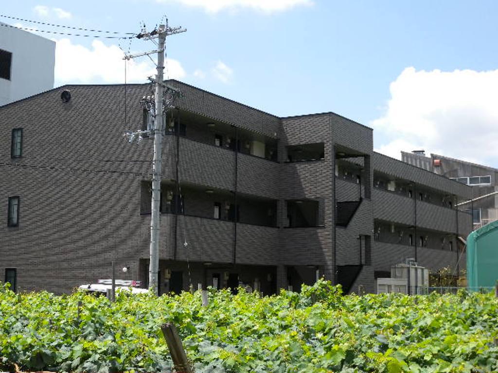 アンプルールフェールREALIFE