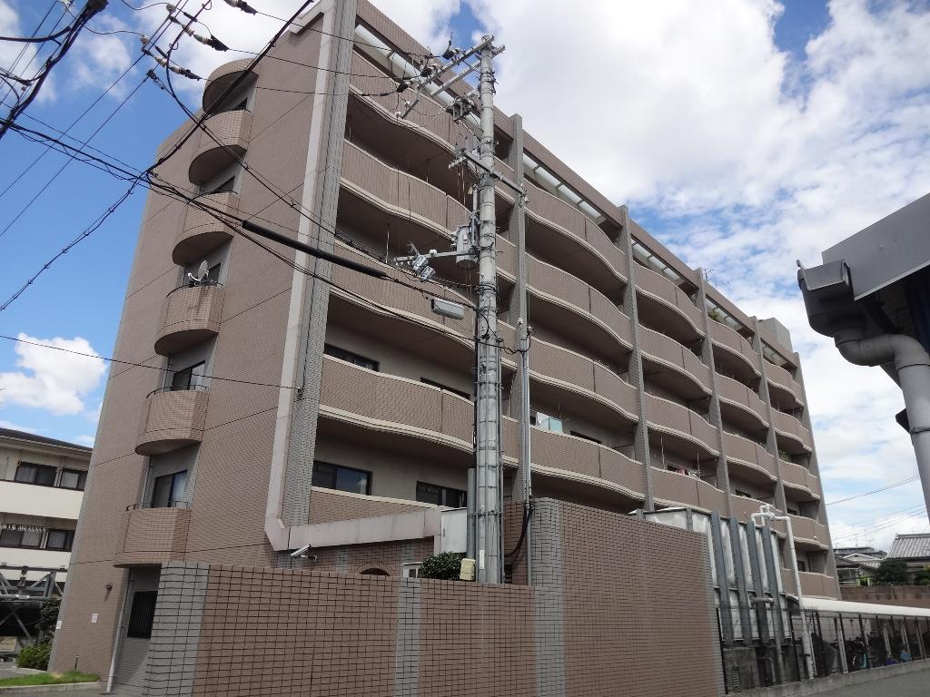 エクセレントバーツ