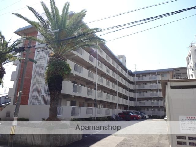 メゾンドール水野