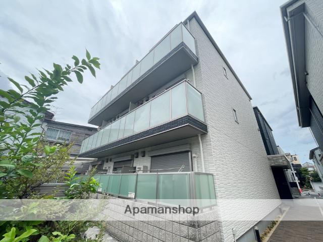 SHAMAISON NOIX ESPOIR