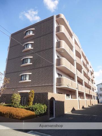 ステラルーチェ