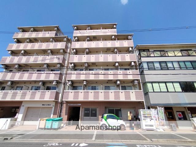 プレジオカーサⅡ