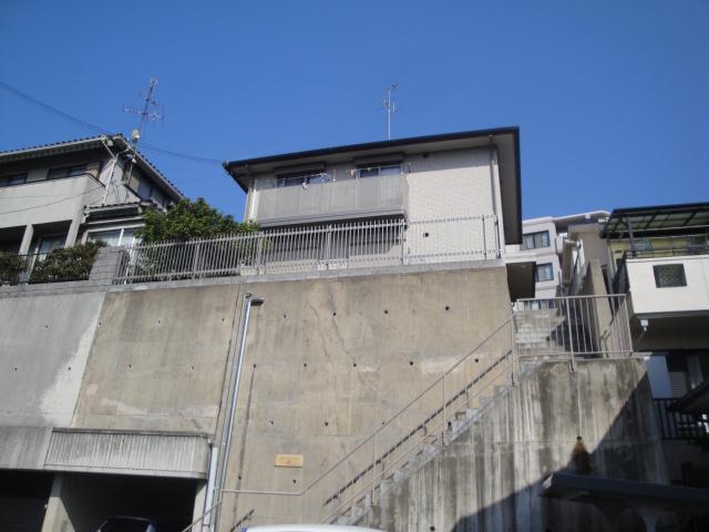 ゼフィランサス