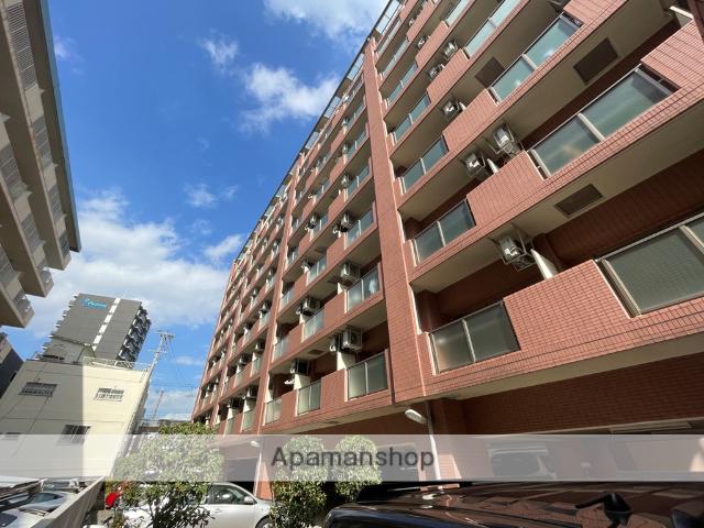 エクセレント上新12