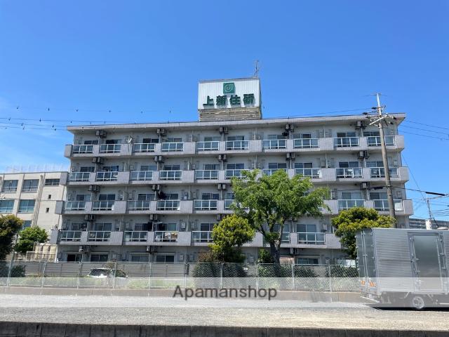 エクセレント上新6