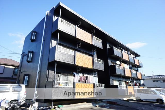 シャンテコウノキ