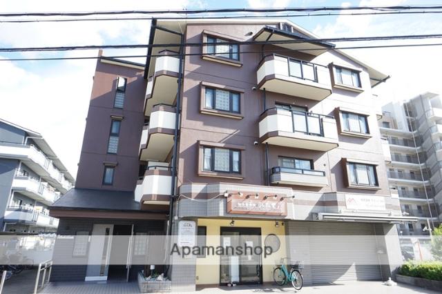 第2ドゥエルなかせい