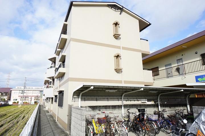 マプログレイスⅢ