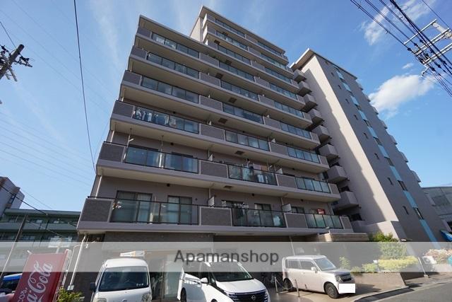 グレーシア大西