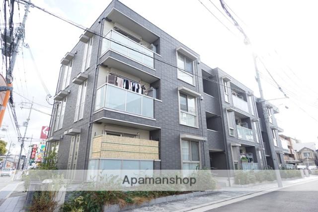 MI SOIR・CITRON PLUME MI SOIR