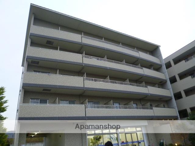 彩都シオン