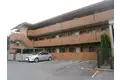 メイプルガーデン